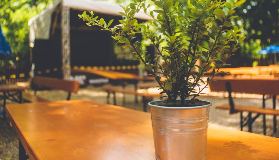 Bild vom Biergarten im Zollhaus